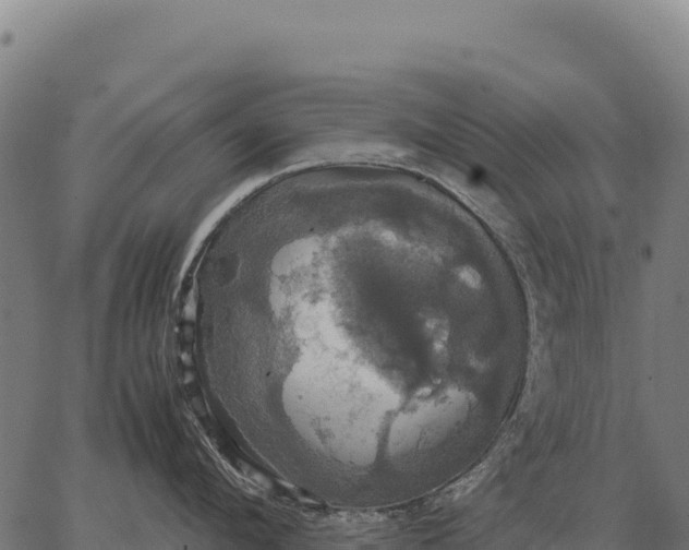 X0000066520912200603311751