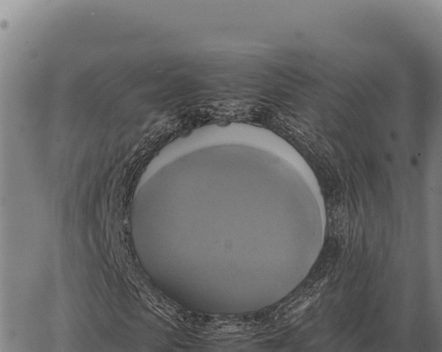 X0000066520913200603311750