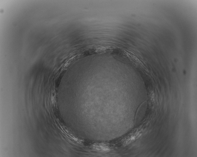 X0000066520914200603311750