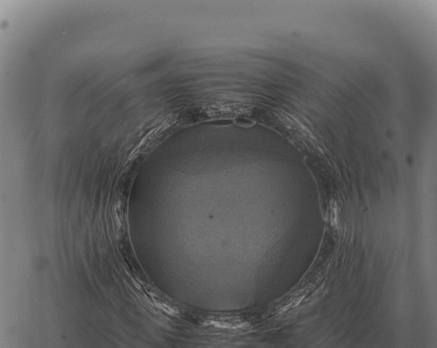 X0000066520915200603311750