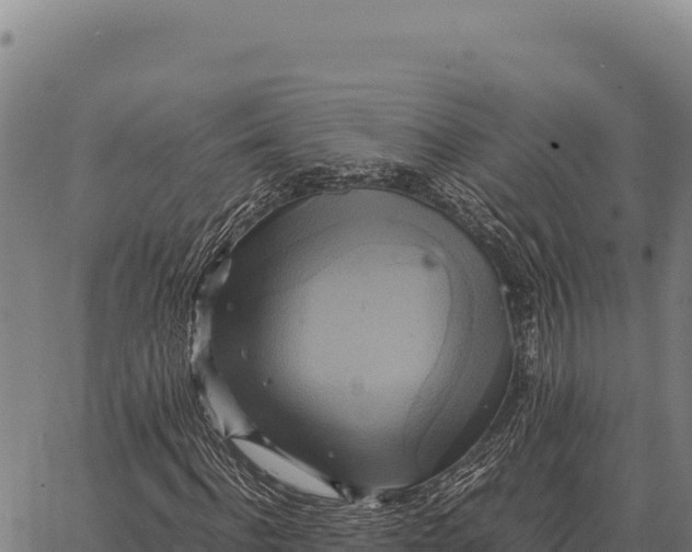 X0000066520916200603311750