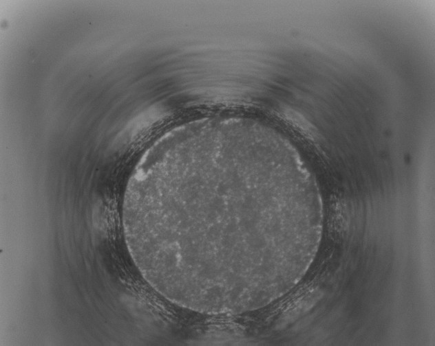 X0000066520918200603311750