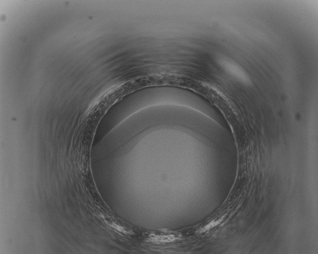 X0000066520919200603311750