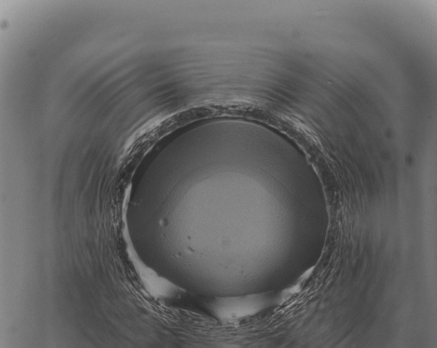 X0000066520920200603311750