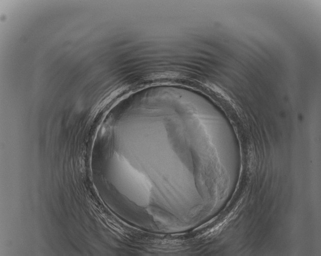 X0000066520921200603311750