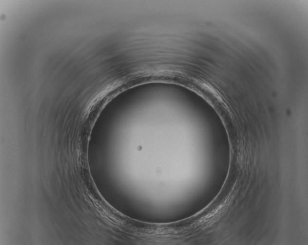 X0000066520922200603311750