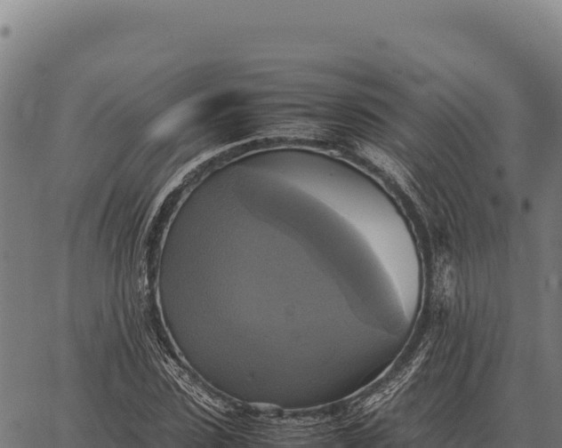 X0000066520923200603311750