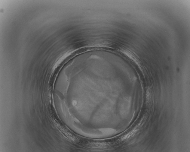 X0000066520925200603311750