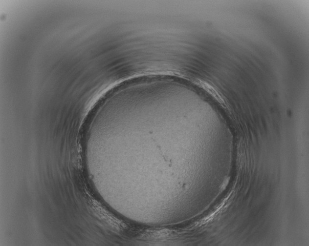 X0000066520926200603311751