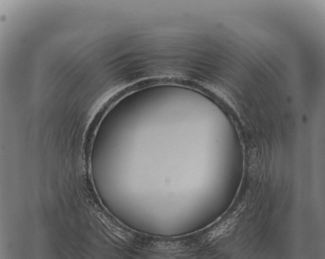 X0000066520927200603311751