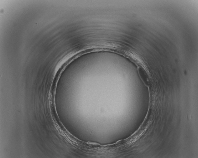 X0000066520928200603311751