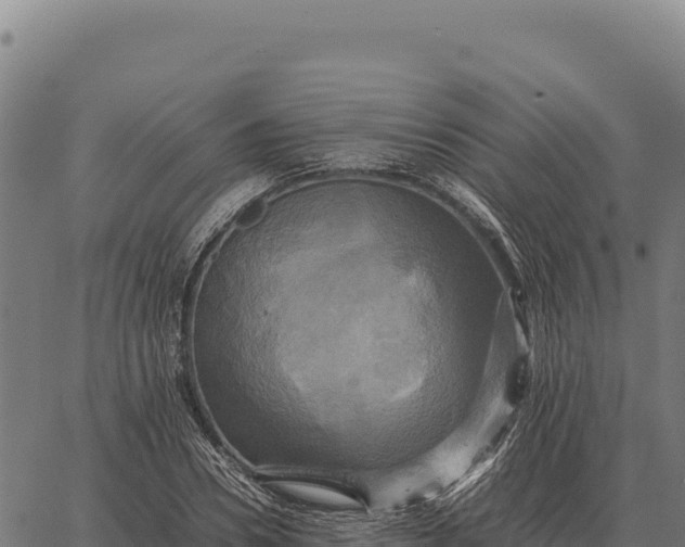 X0000066520930200603311751