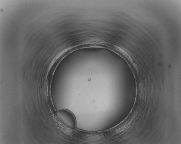 X0000066520931200603311751