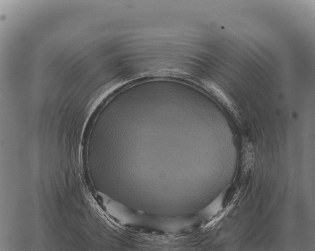 X0000066520932200603311751