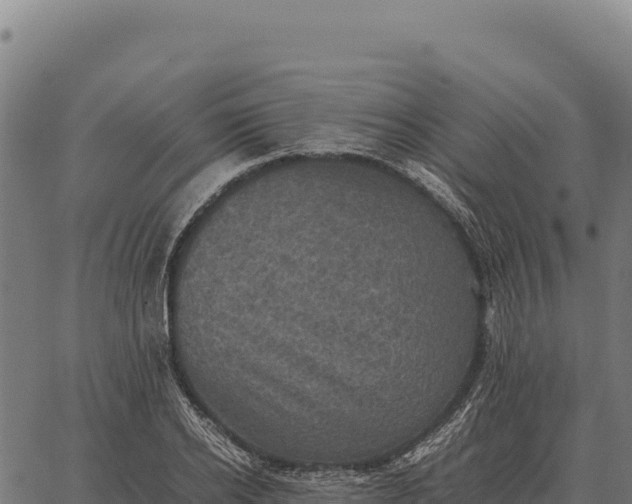 X0000066520934200603311751