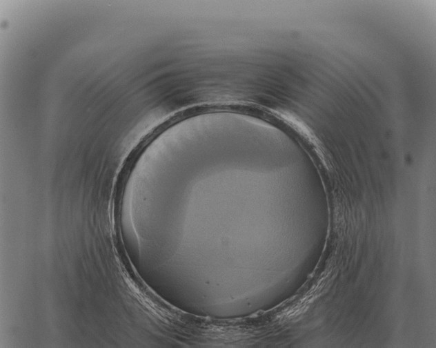 X0000066520935200603311751