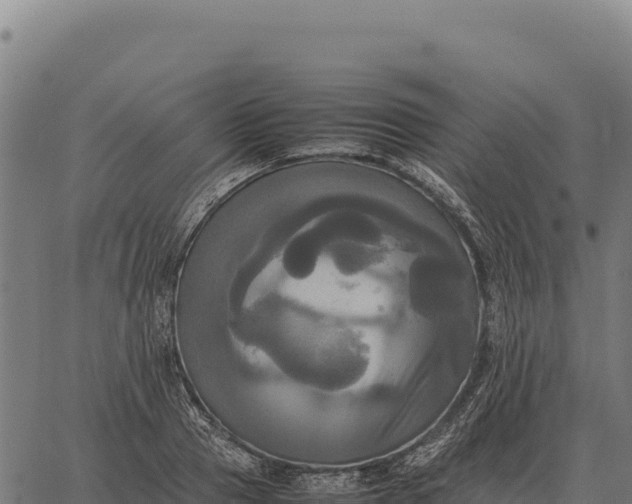 X0000066520937200603311751