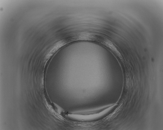 X0000066520938200603311751