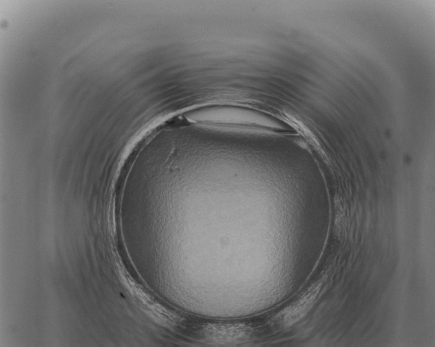 X0000066520939200603311751