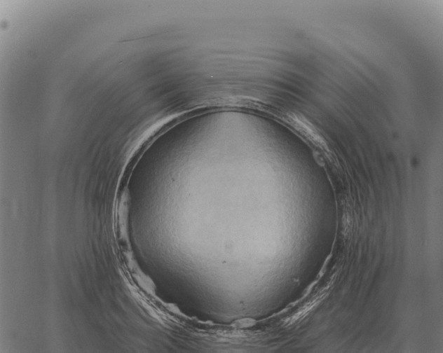 X0000066520940200603311751