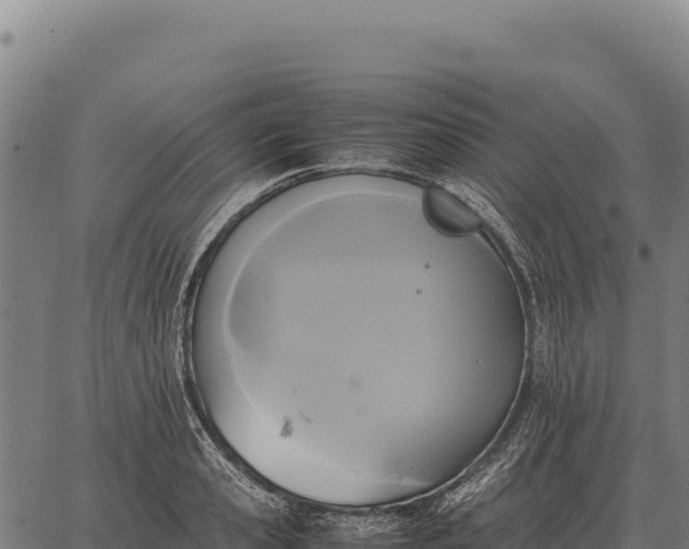 X0000066520941200603311751