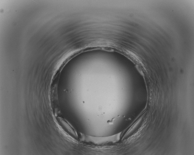 X0000066520942200603311751