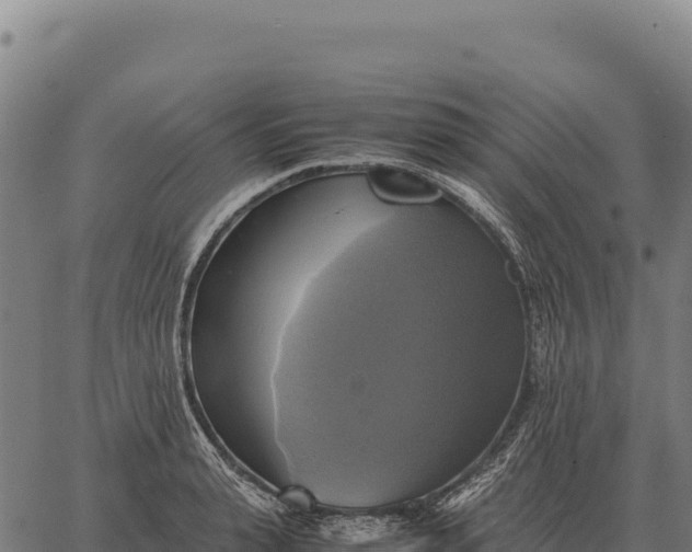 X0000066520943200603311751