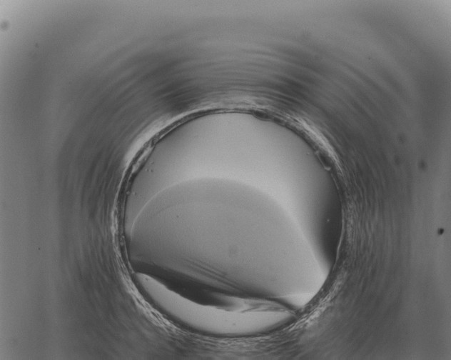 X0000066520944200603311751