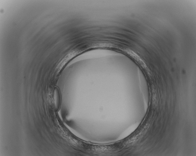 X0000066520945200603311751