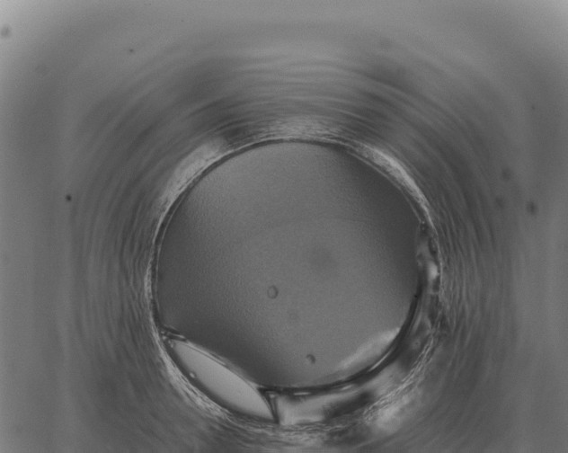 X0000066520946200603311751