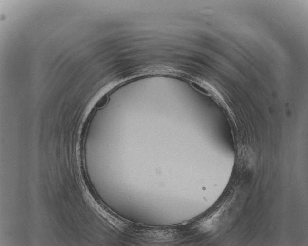 X0000066520947200603311751