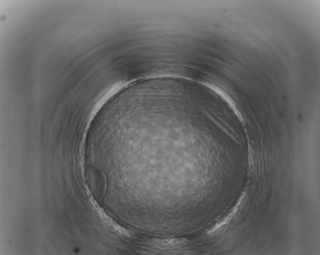 X0000066520949200603311751