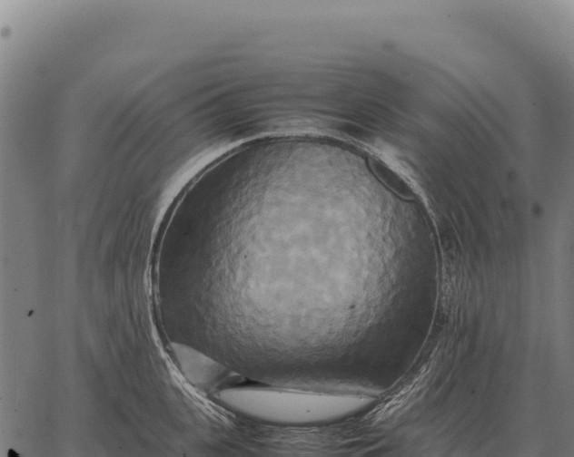 X0000066520951200603311751