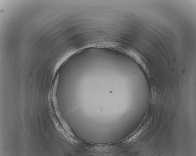 X0000066520952200603311751