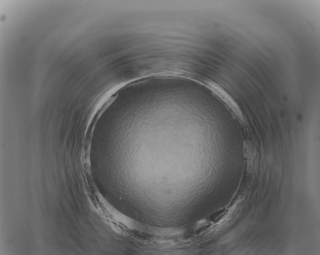 X0000066520956200603311751