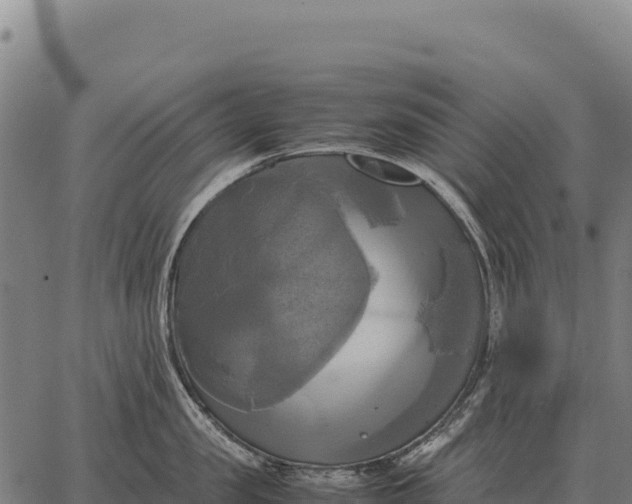 X0000066520957200603311751