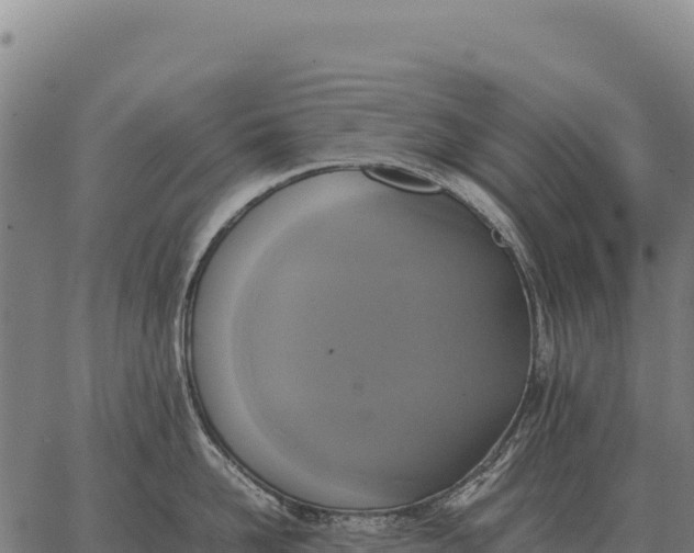 X0000066520958200603311751