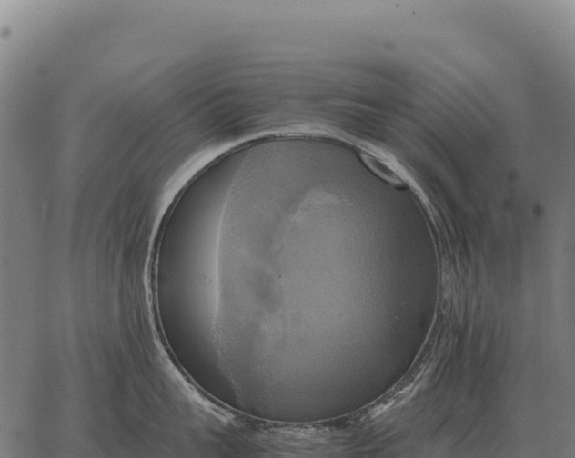 X0000066520959200603311751