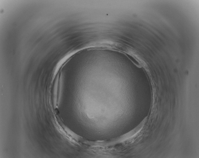 X0000066520960200603311751