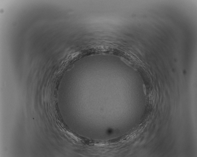 X0000066520961200603311750