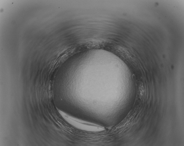 X0000066520964200603311750