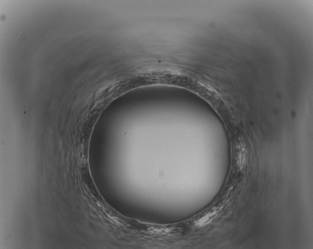 X0000066520965200603311750