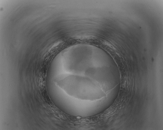 X0000066520966200603311750