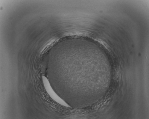 X0000066520967200603311750