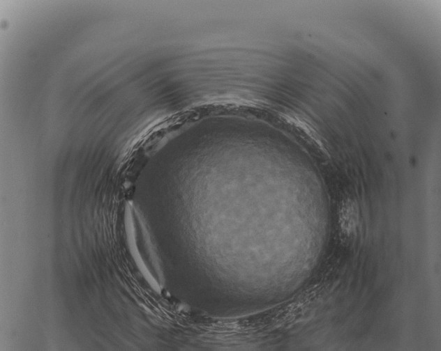 X0000066520968200603311750