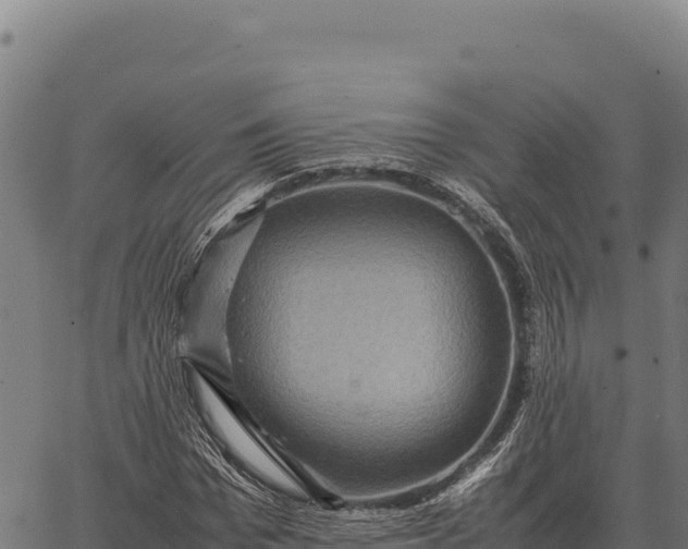 X0000066520969200603311750