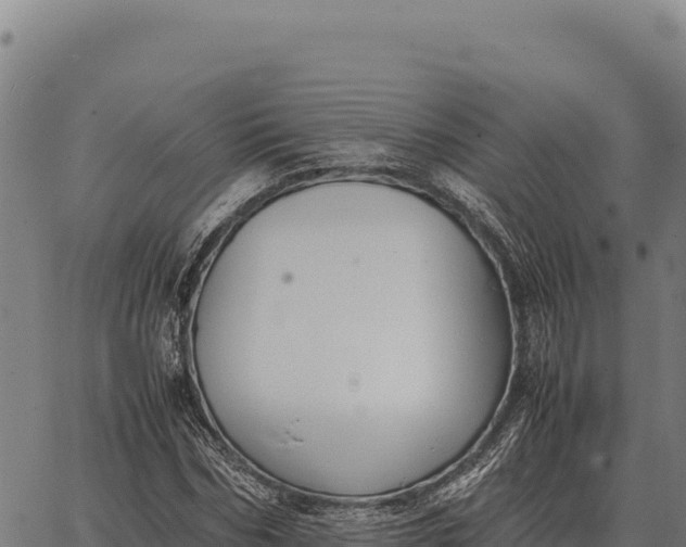 X0000066520970200603311750