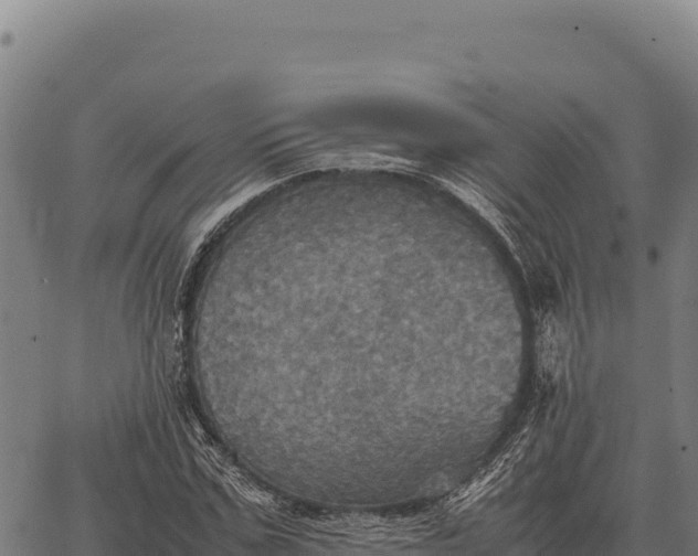 X0000066520971200603311750