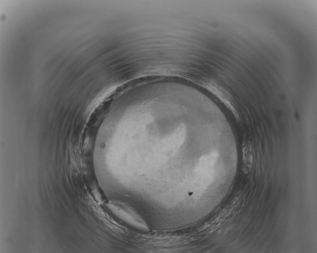 X0000066520972200603311750