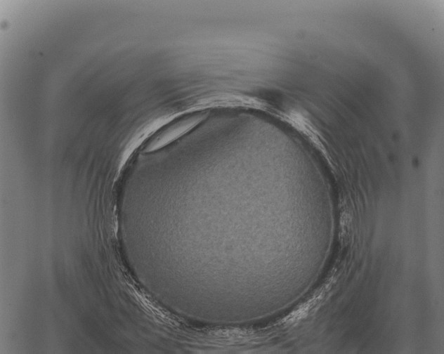 X0000066520973200603311750